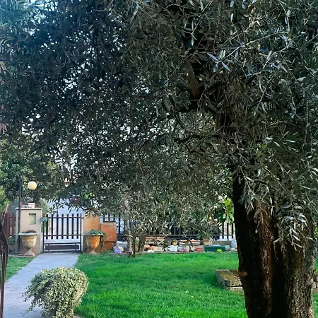 Oasi - דירה אודרזו