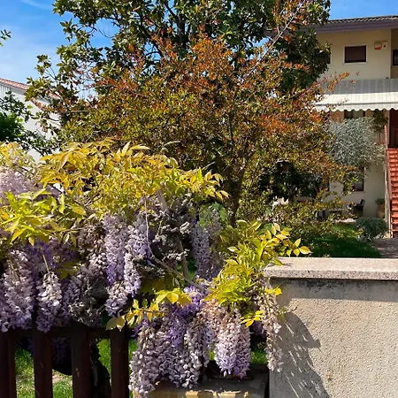 Apartament Oasi - Oderzo