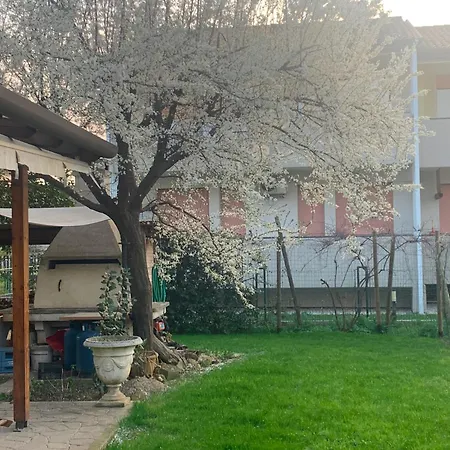 Apartament Oasi - *